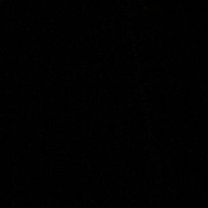 Meet your Posher, Shelley